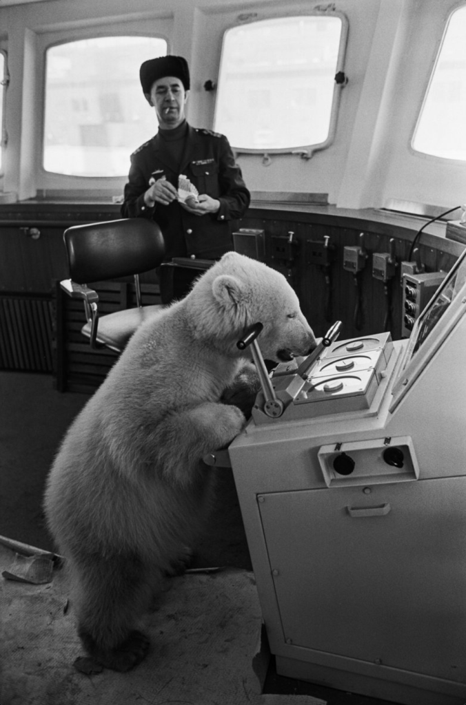 روابط 27/10/2024 | الرأسمالية العارية